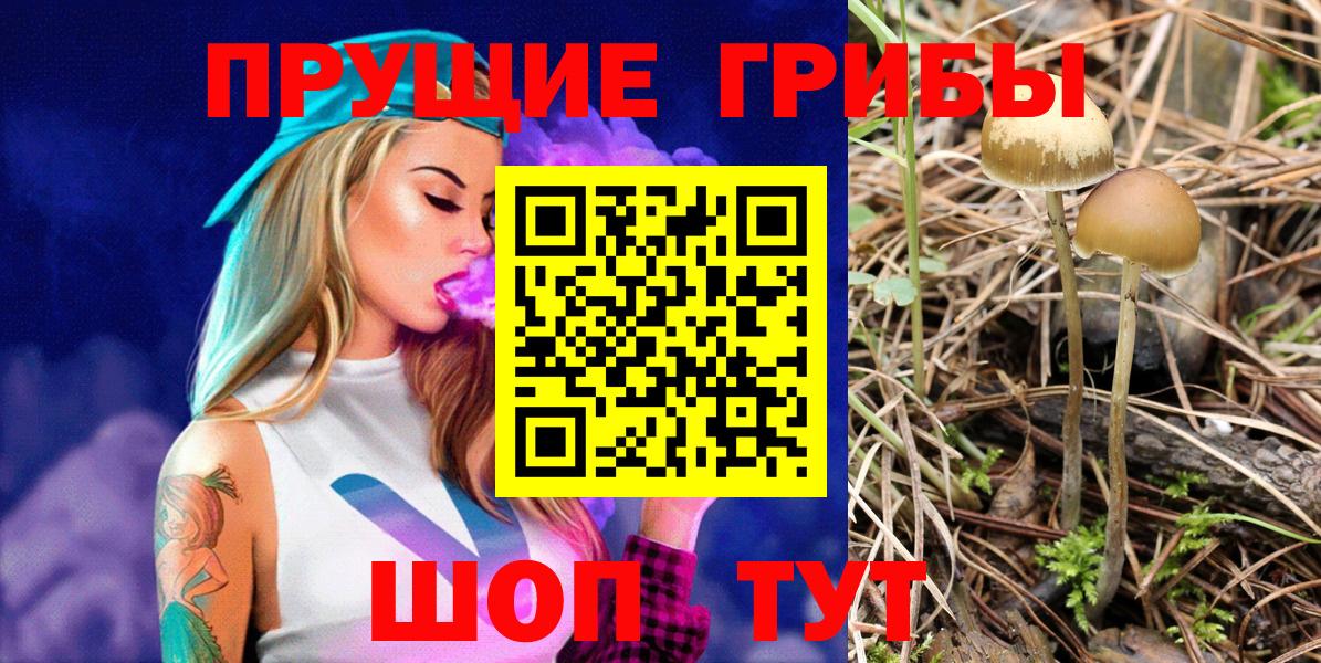 Псилоцибиновые грибы Psilocybe  Вход с VPN  Галлюциногенные грибы GOLDEN TEACHER  Алексин 